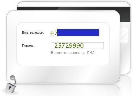 LiqPay, Платежные методы